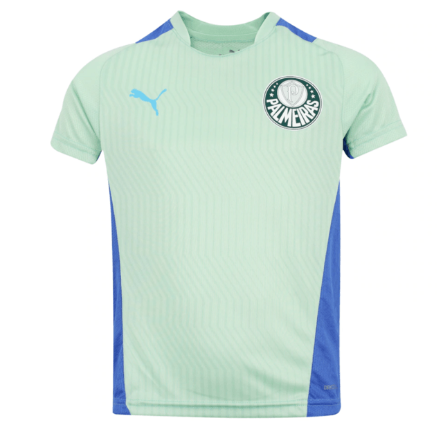 Camisa de Entrenamiento Palmeiras 22/23 Puma - Verde