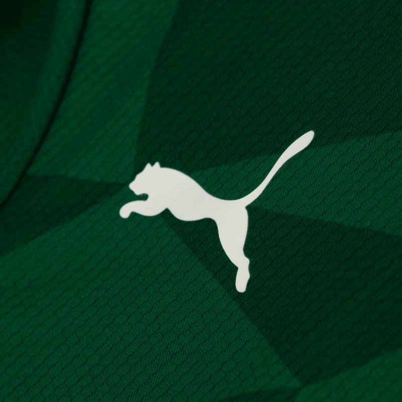 Camisa Palmeiras I 23/24 Puma - Verde