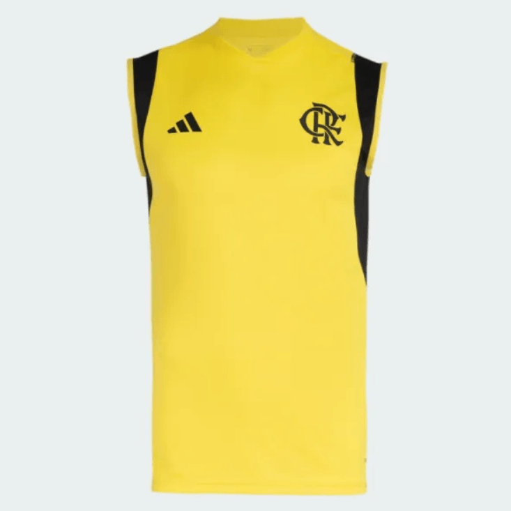 Camiseta Sin Mangas Flamengo Entrenamiento 24/25